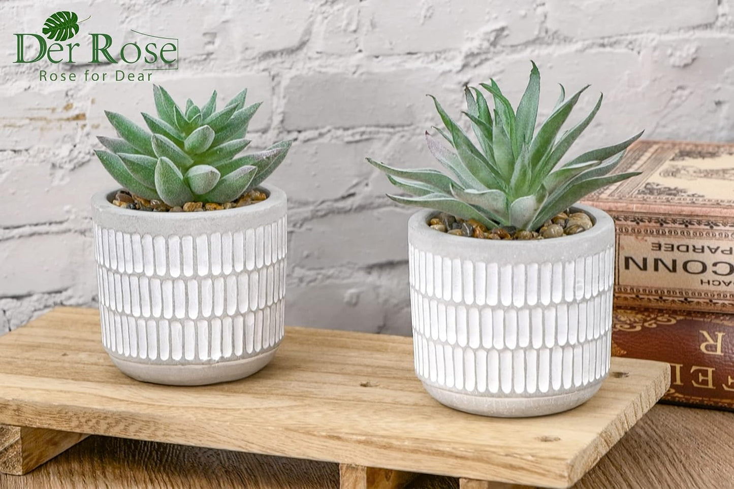 Succulents Plants Artificial Fake Cactus Plants / Set of 2