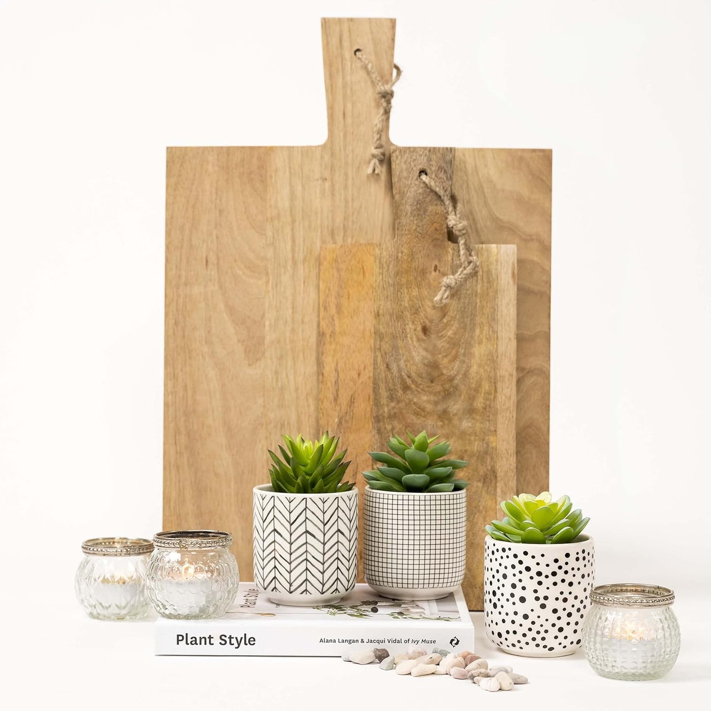 Faux Plants / Artificial Succulents in pots / Black / Set of 3