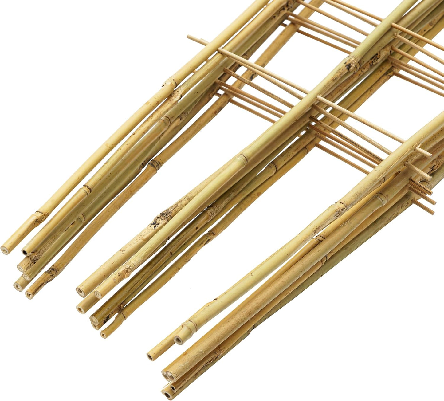 10 Pack 3 Feet Natural Bamboo Trellis, Fan-Shaped Bamboo Plant Trellis for Climbing Plants, Vegetables, Cucumber