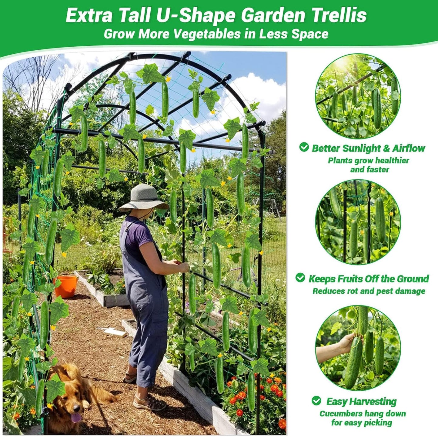 7FT Garden Trellis for Climbing Plants Outdoor, Metal Arch Trellises | Heavy Duty Large Cucumber Trellis for Raised