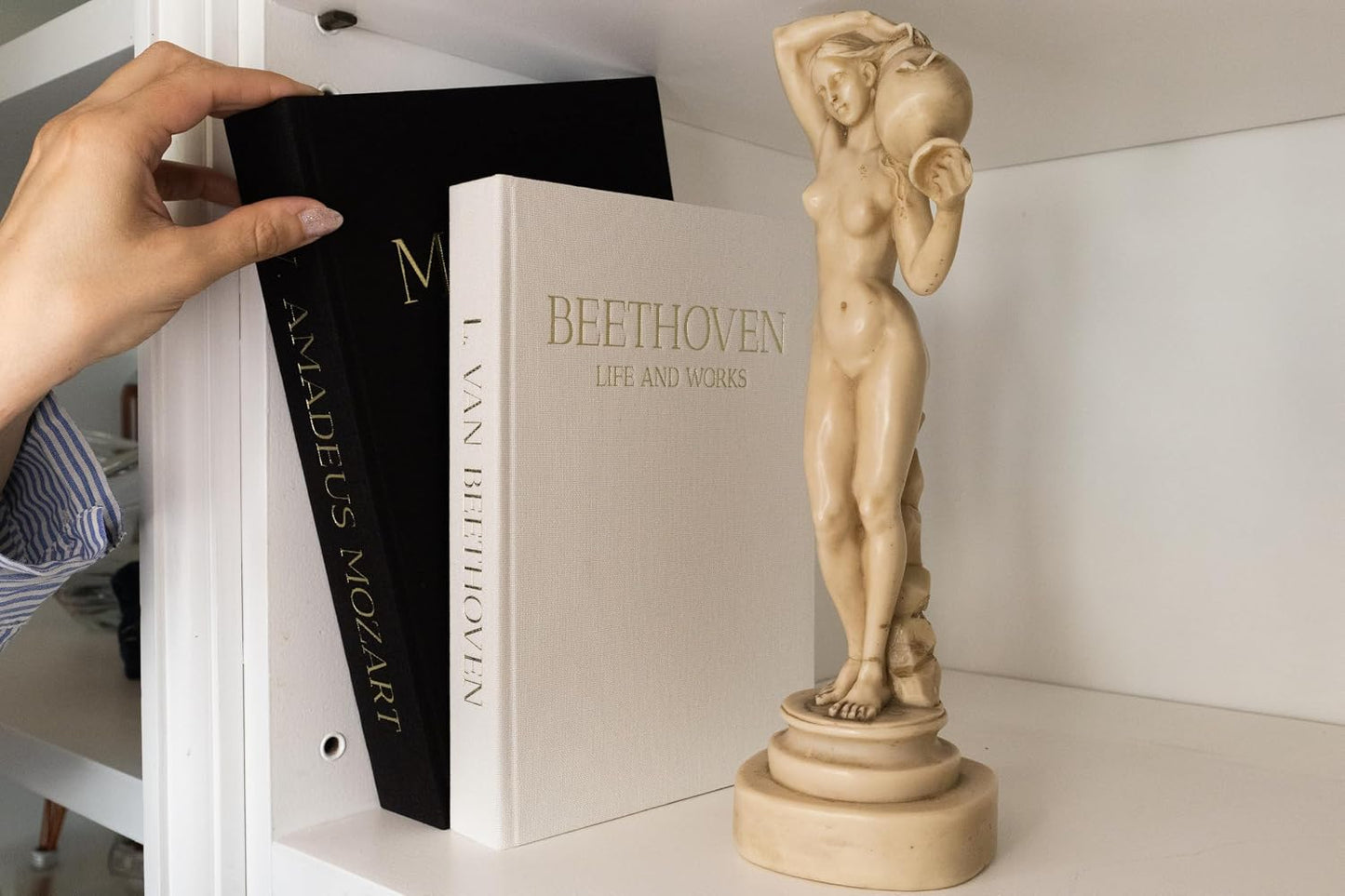 Decorative Books / Bookshelf / Black and White / Set of 2