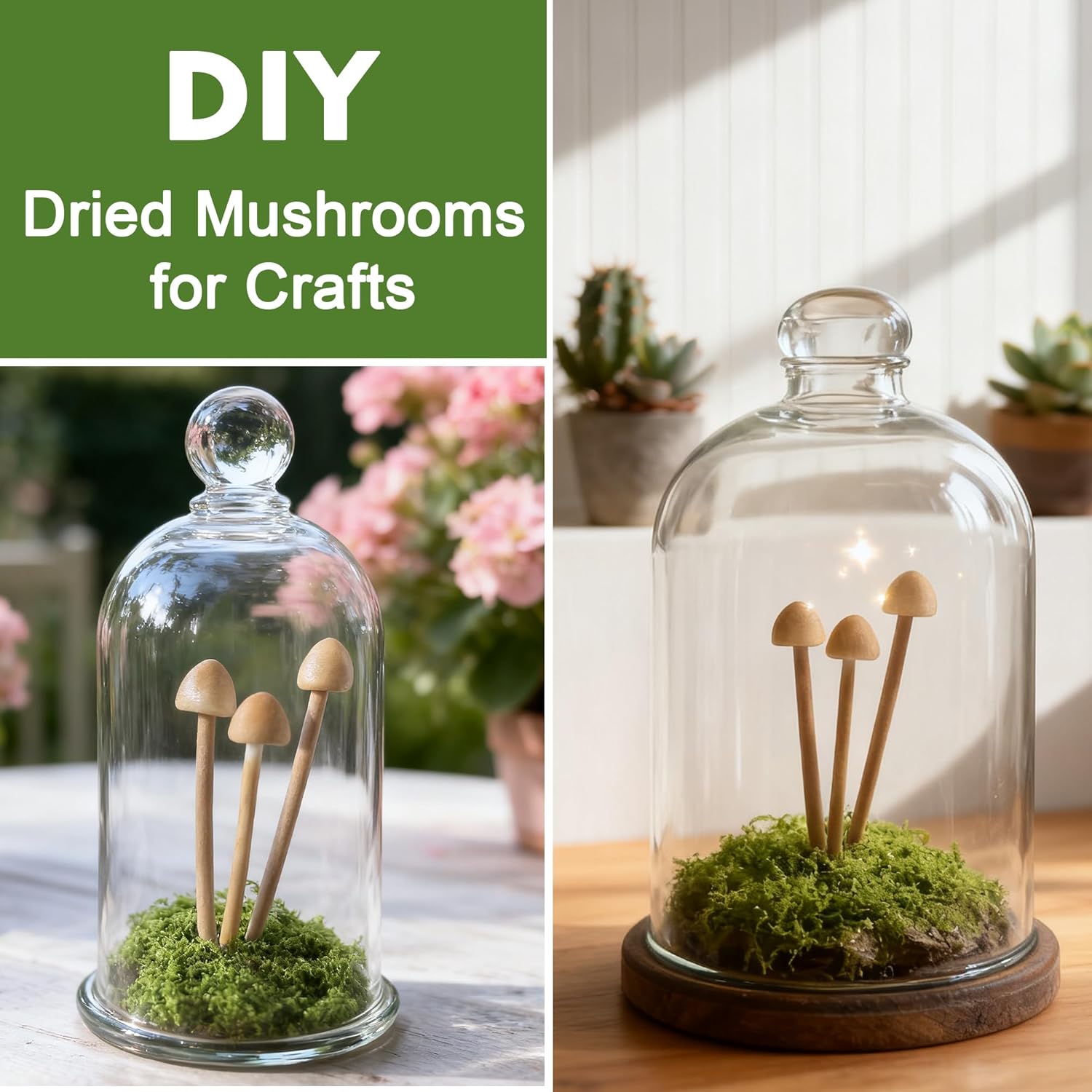 Mini Mushrooms for Crafts / Set of 16