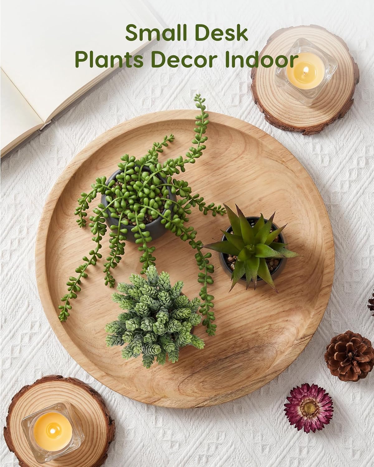 Artificial Succulents Plants in Pots / Black / Set of 3