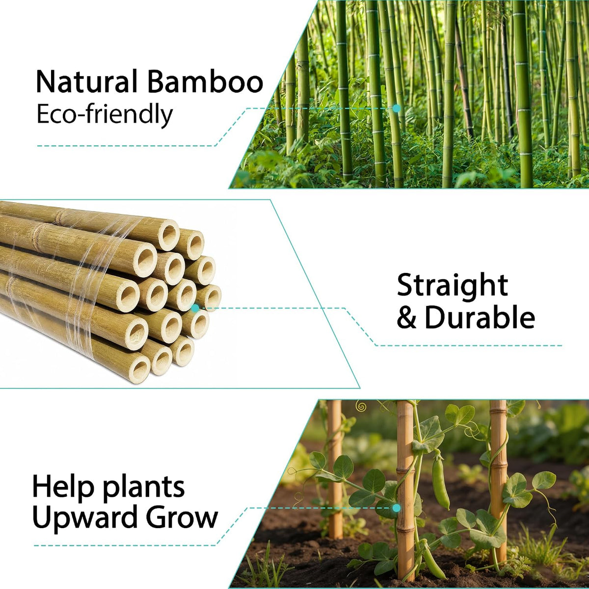Bamboo Stakes 4FT, 25pcs Plant Stakes, Garden Stakes Specifically Designed for Climbing Plants, Ideal for Tomatoes