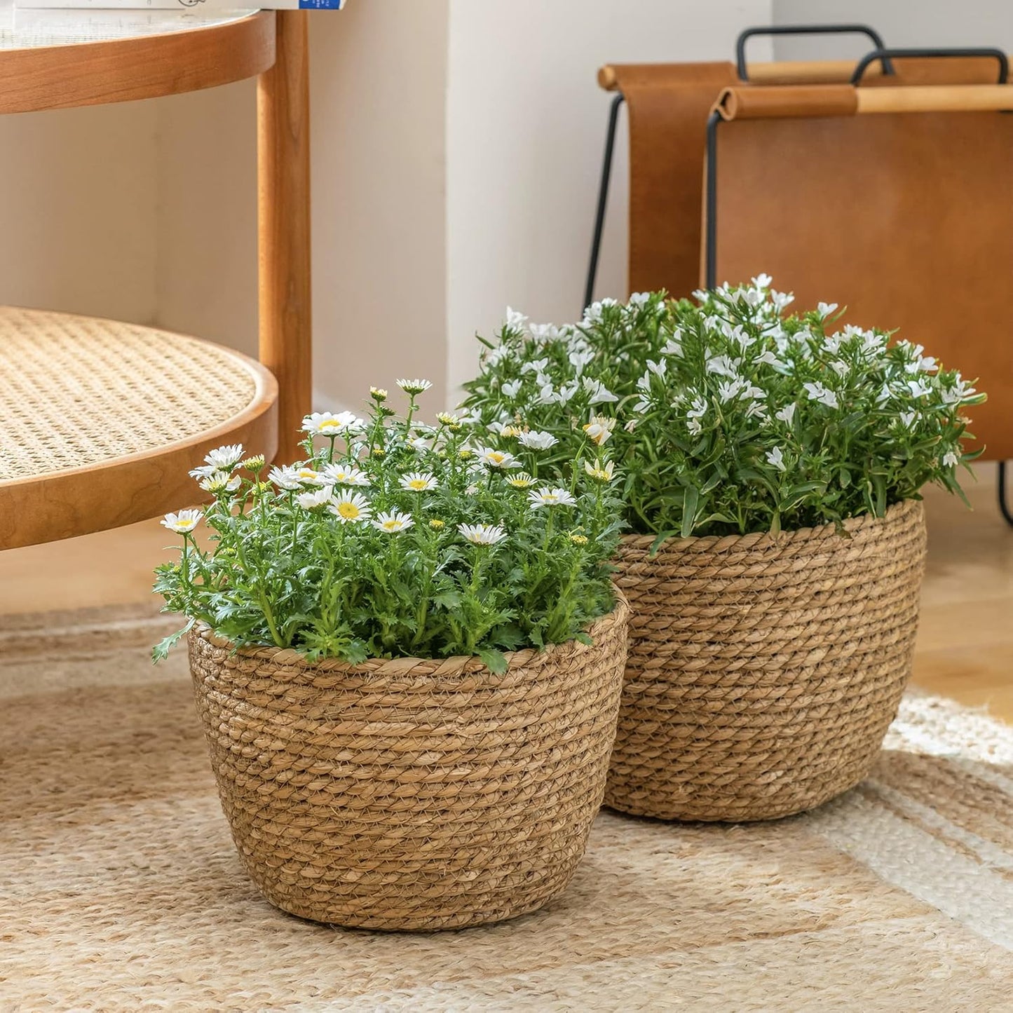 La Jolíe Muse Seagrass Planter Basket Indoor / Brown / 10.2"+8.7"+6.7 / Set of 3