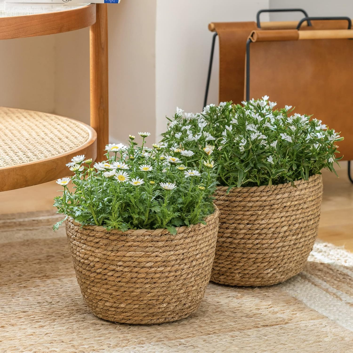 La Jolíe Muse Seagrass Planter Basket Indoor / Brown / 10.2"+8.7"+6.7 / Set of 3
