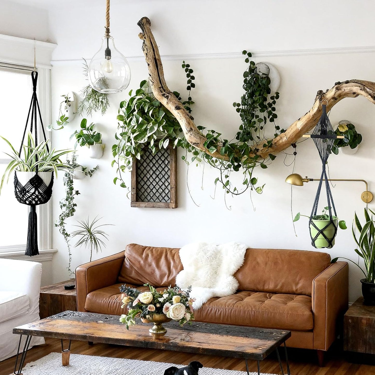 Boho Hanging Planters / Black Hanger / 10 Inch / Set of 8