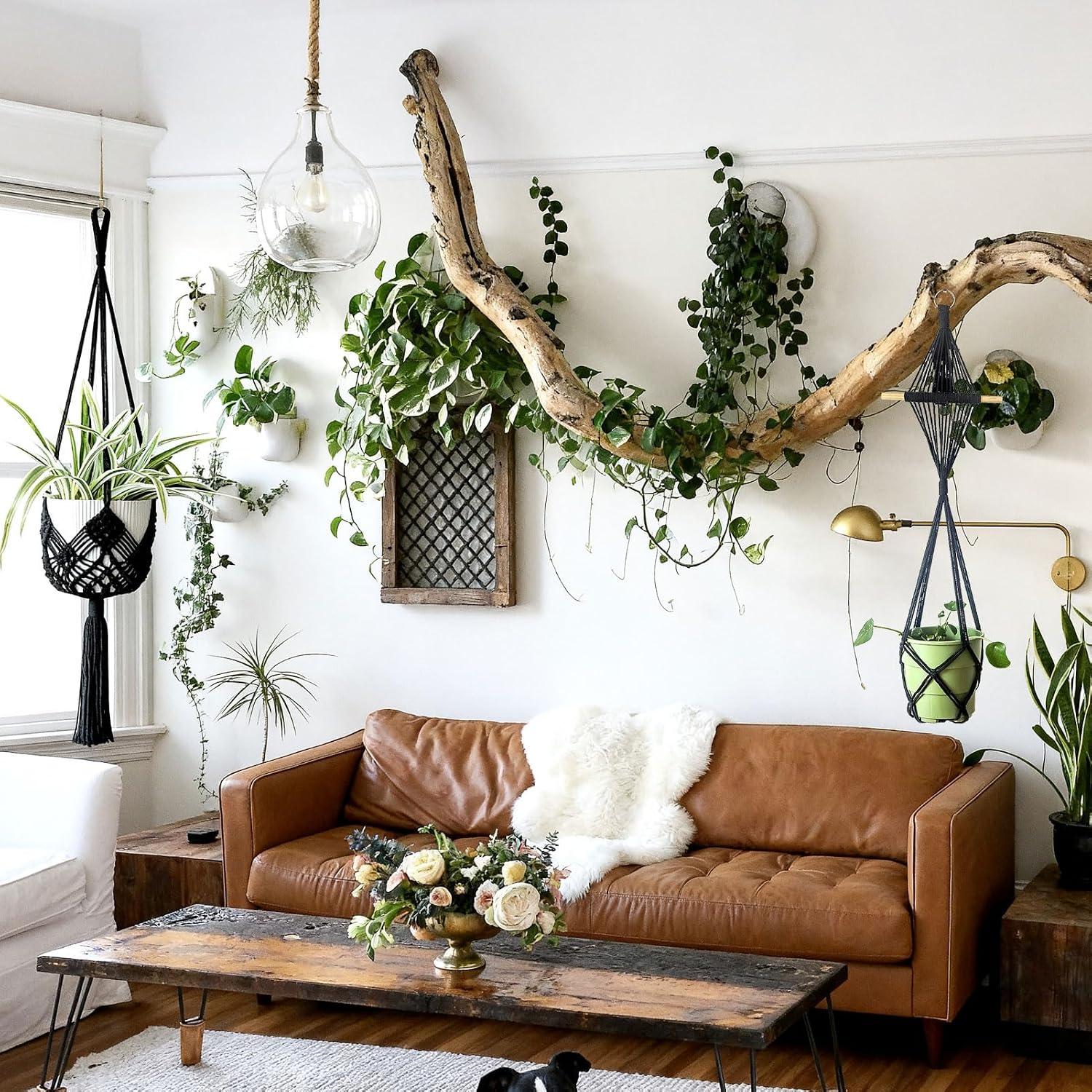 Boho Hanging Planters / Black Hanger / 10 Inch / Set of 8