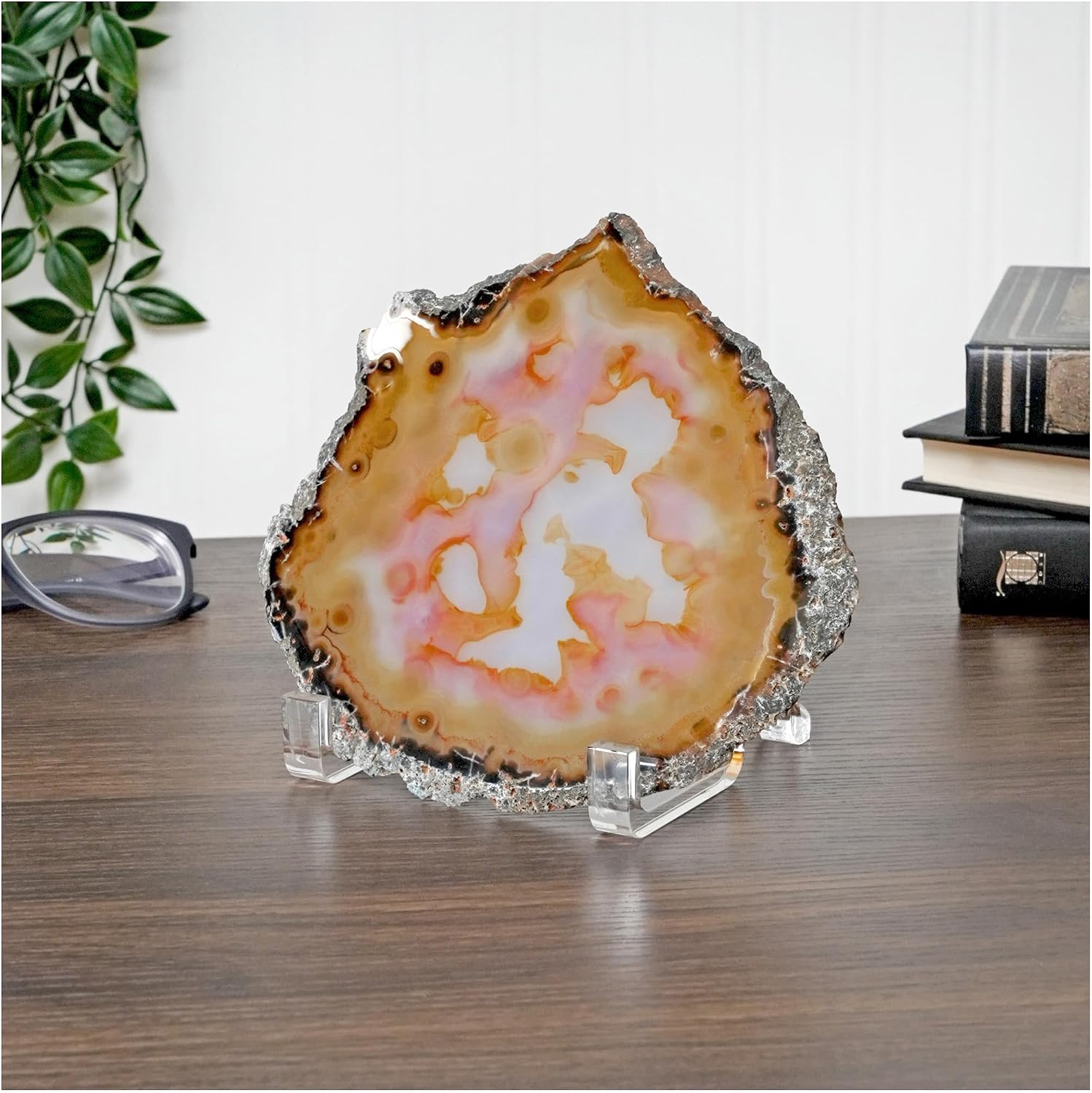 Acrylic Ribbon-Style Display Easel / 3.75 x 3.875 x 5 / Clear