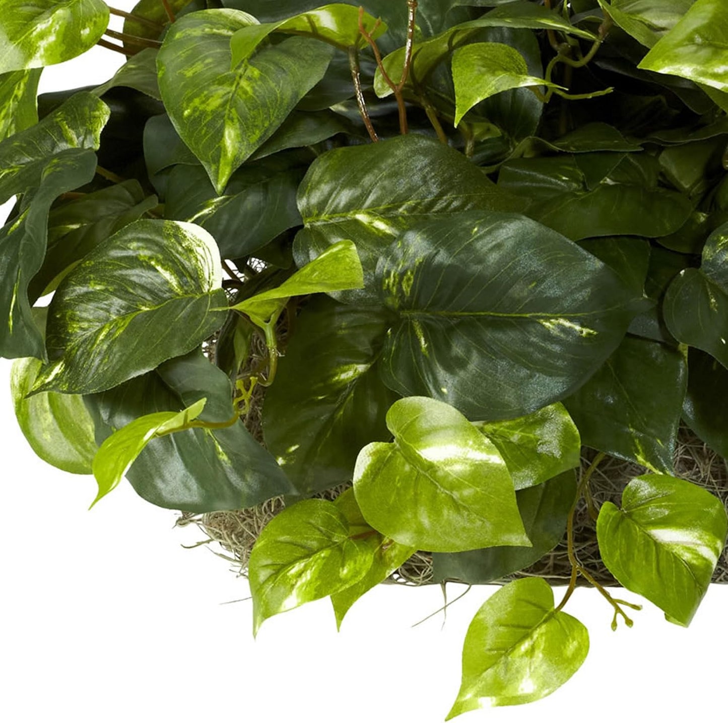 . Pothos Ledge Plant Silk Plant / Green / 15 Inch