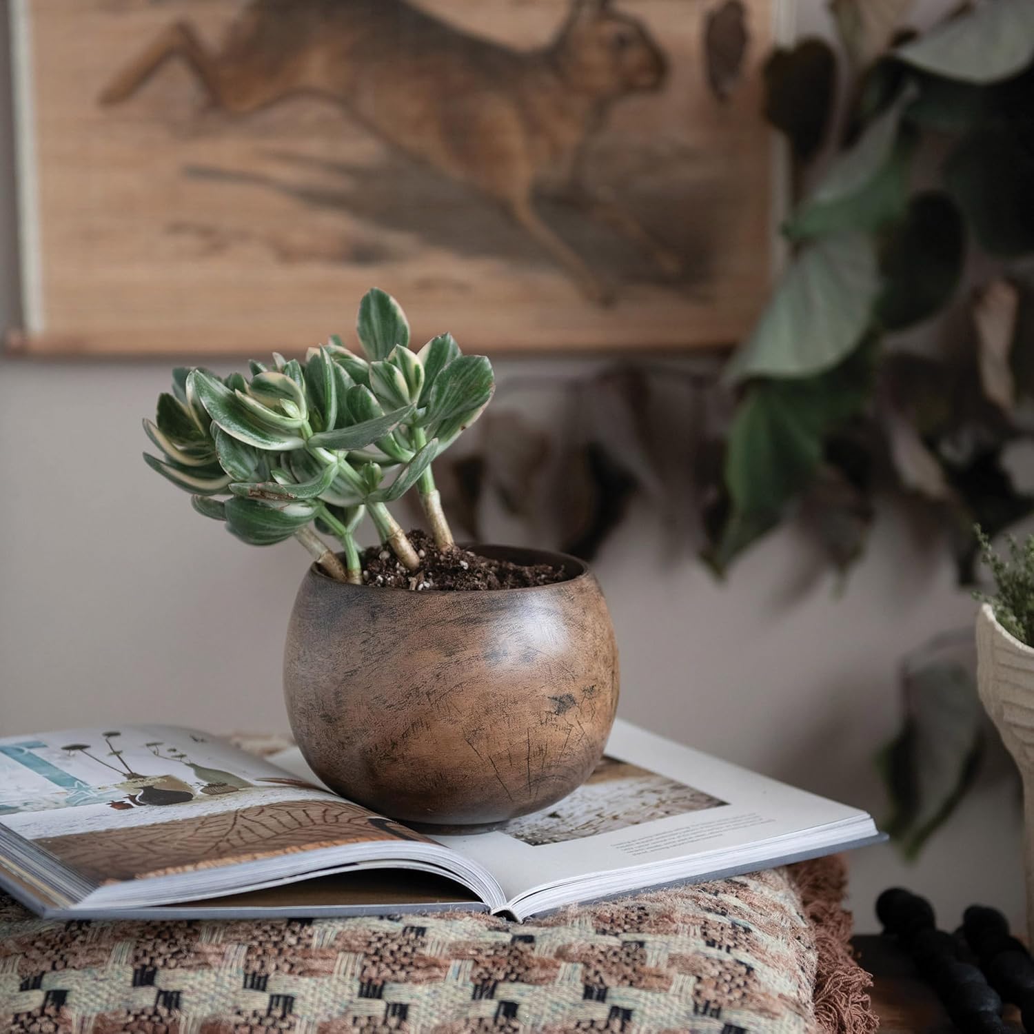 Mango Wood Bowl / Walnut Finish