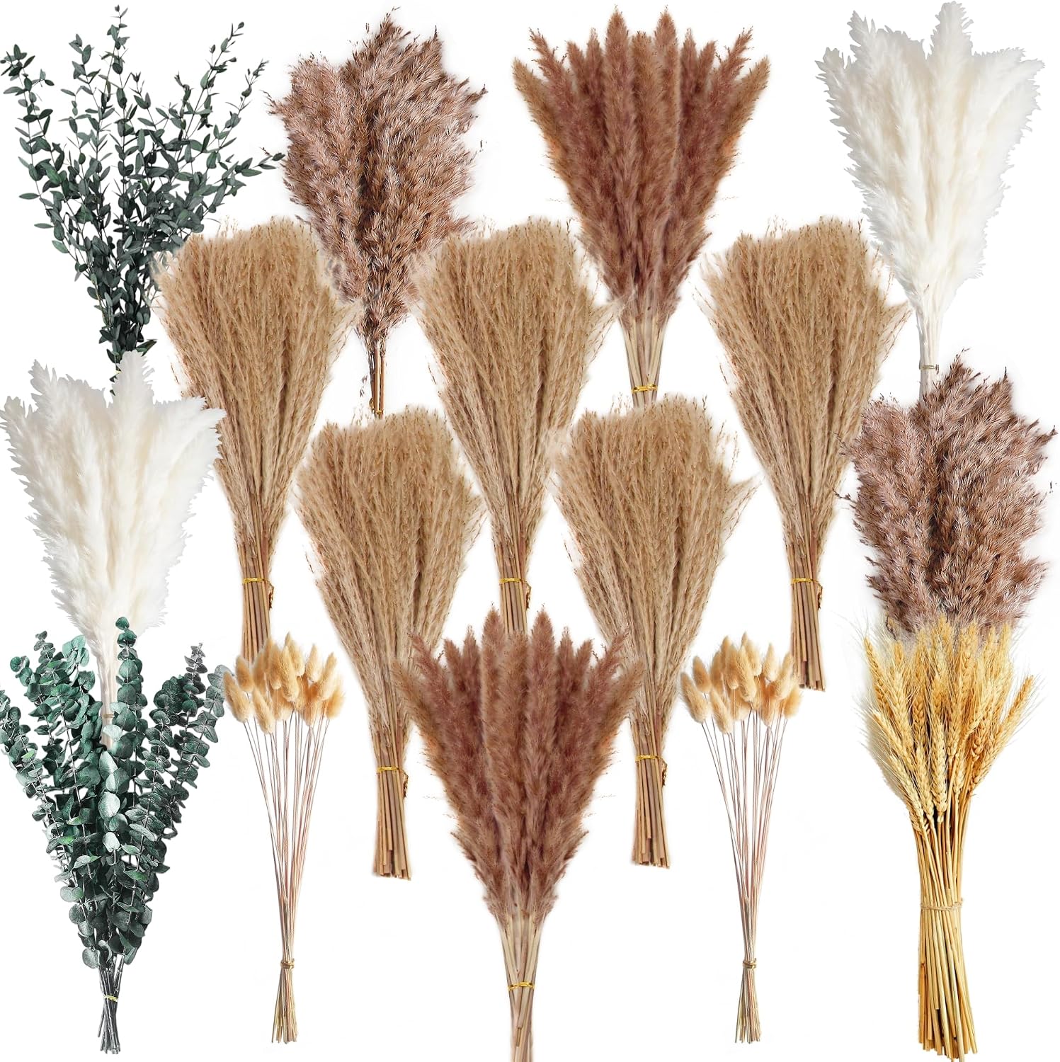Pampas Grass & White Pampas Grass for Boho Baby Shower / Brown / Set of 350