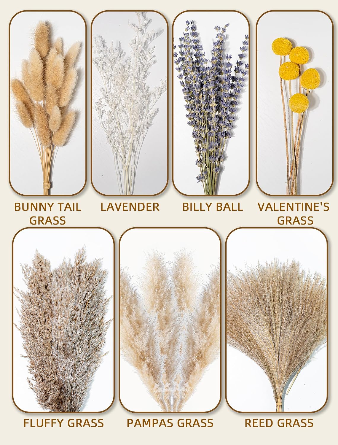 Billy Balls 16~ Dried Flowers / Natural / 17 Inch