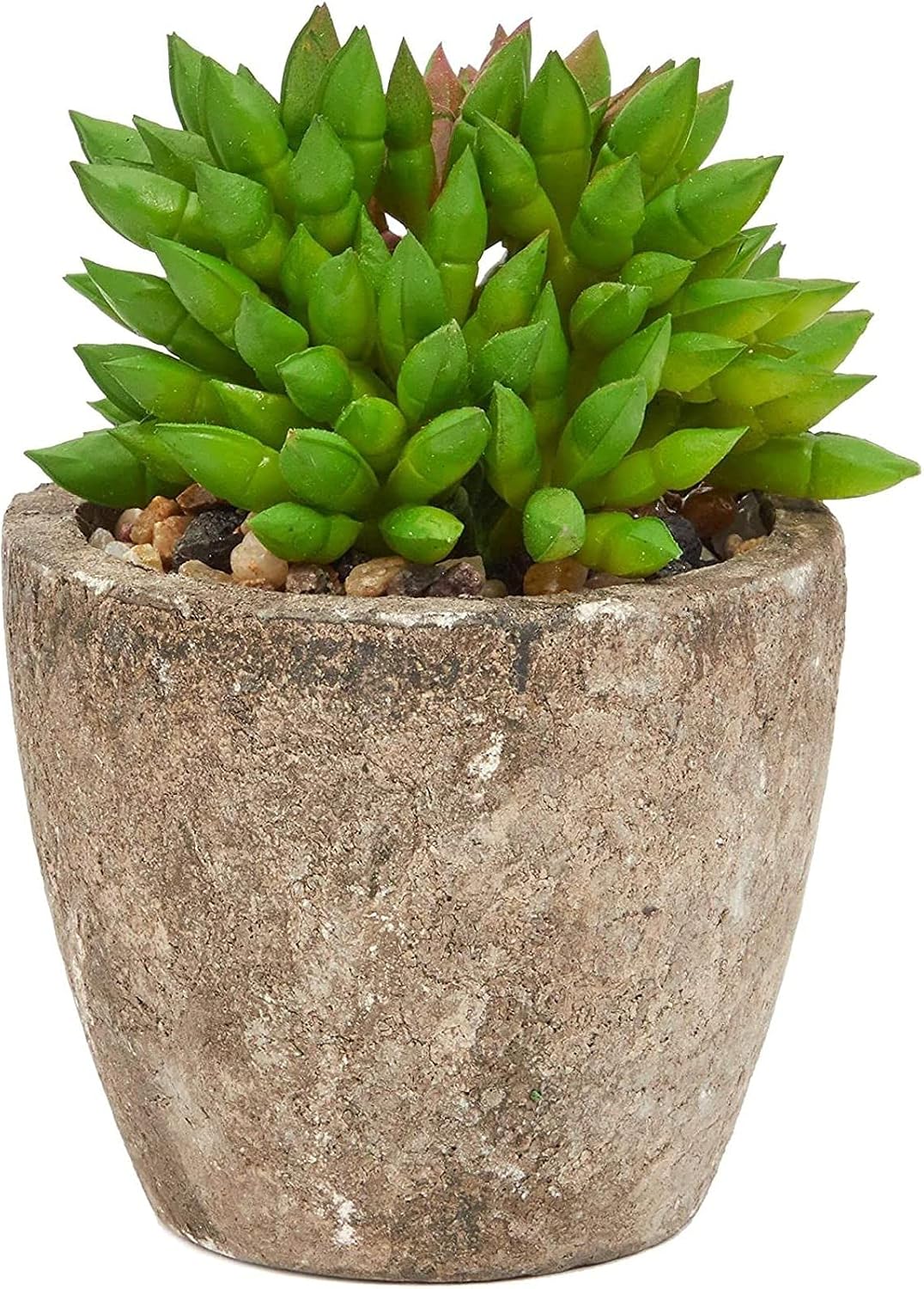 Maintenance-Free Artificial Plants