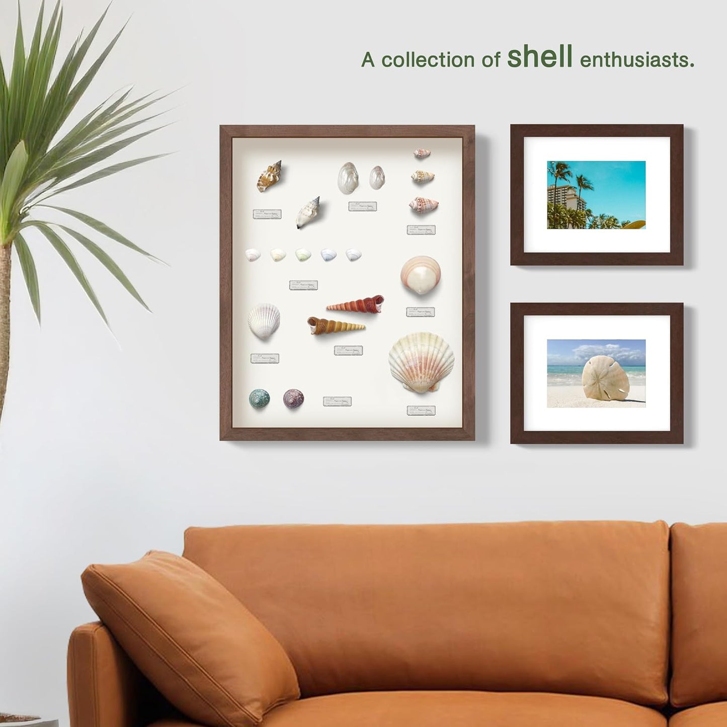 FrameWorks 12" x 18" Brown Wooden Shadow Box Frame – Soft Felt Back, Tempered Glass, and Included Elegant White Ball