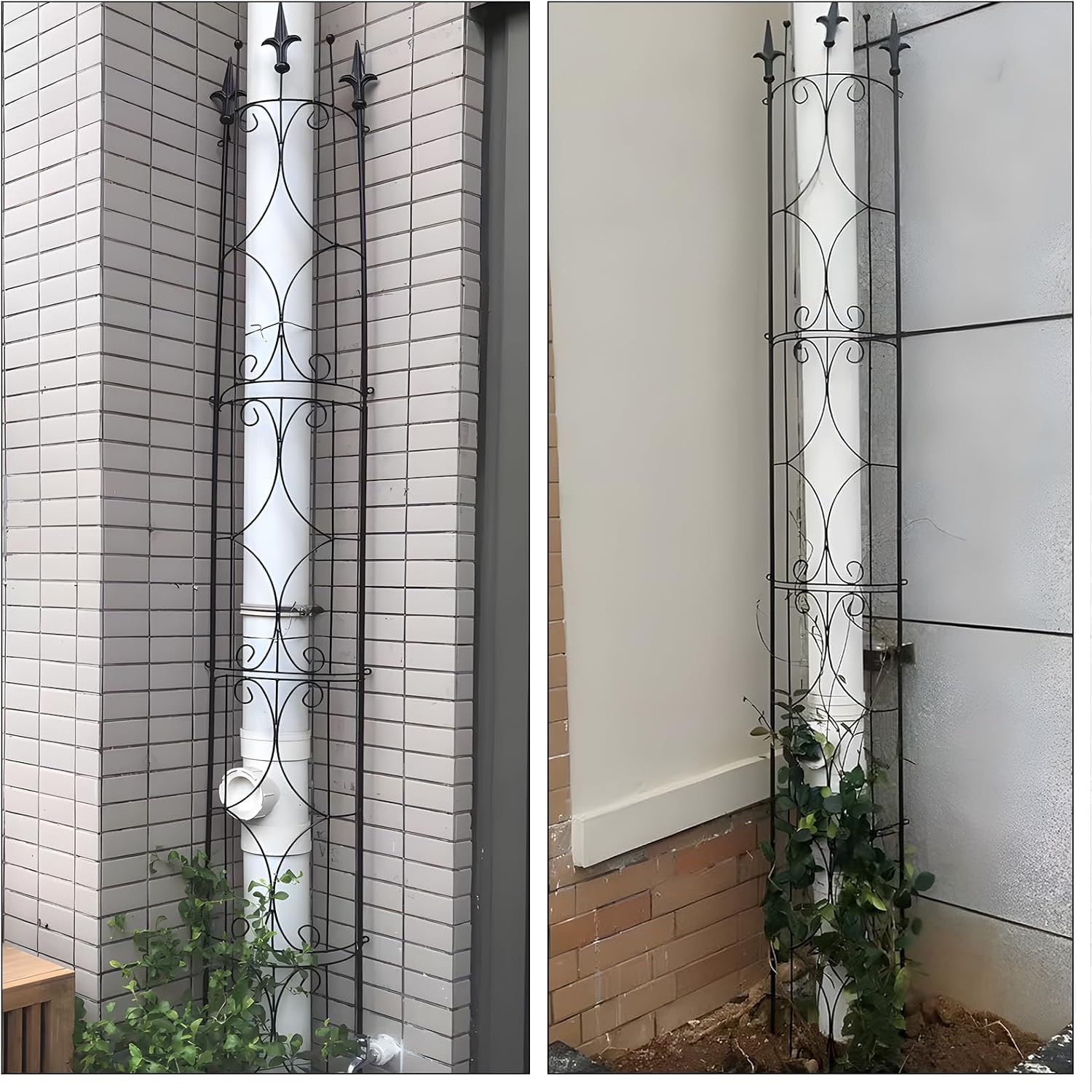 Garden Trellis 2 Pack 72'' H x 12'' W Metal Plant Trellis | Indoor/Outdoor Metal Garden Trellis Plant Trellis for