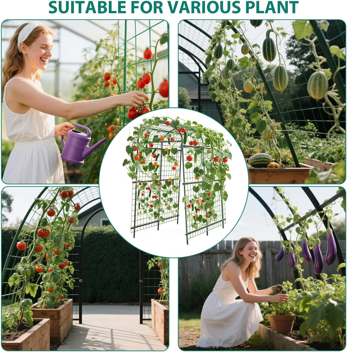 Metal Garden Arch Trellis, 7.6Ft Black for Raised Beds, Plant Support for Cucumbers & Climbing Vegetables with 9