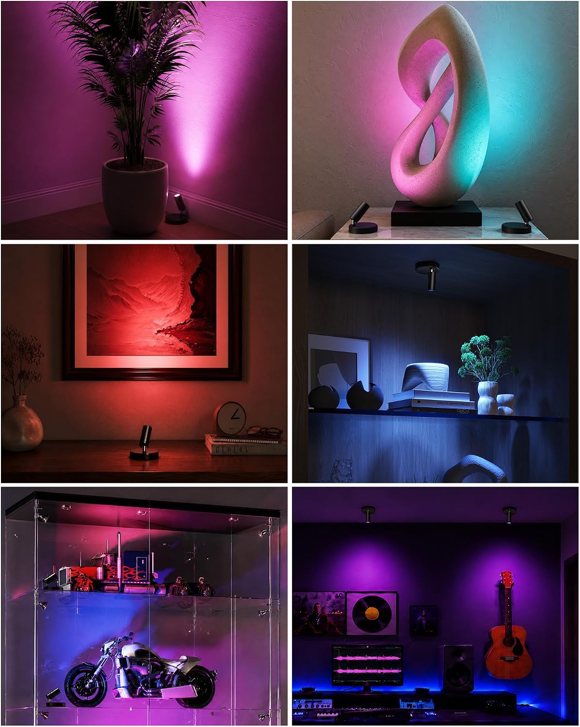 EZVALO RGB Indoor Spotlights, Accent Lights, Plant Uplights | 5000mAh Rechargeable, Color Changing, DIY Mode, Wireless