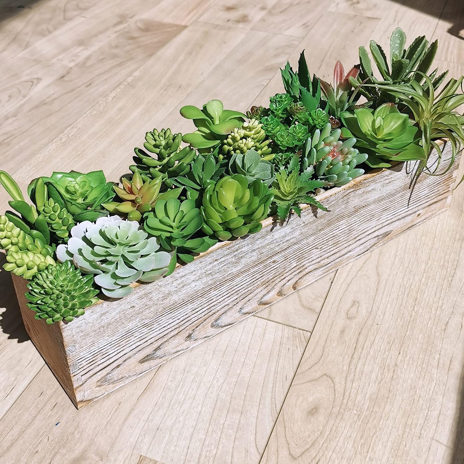 Assorted Artificial Succulents Plants Unpotted Small Cactus Echeveria Air Plant / Green / Set of 20