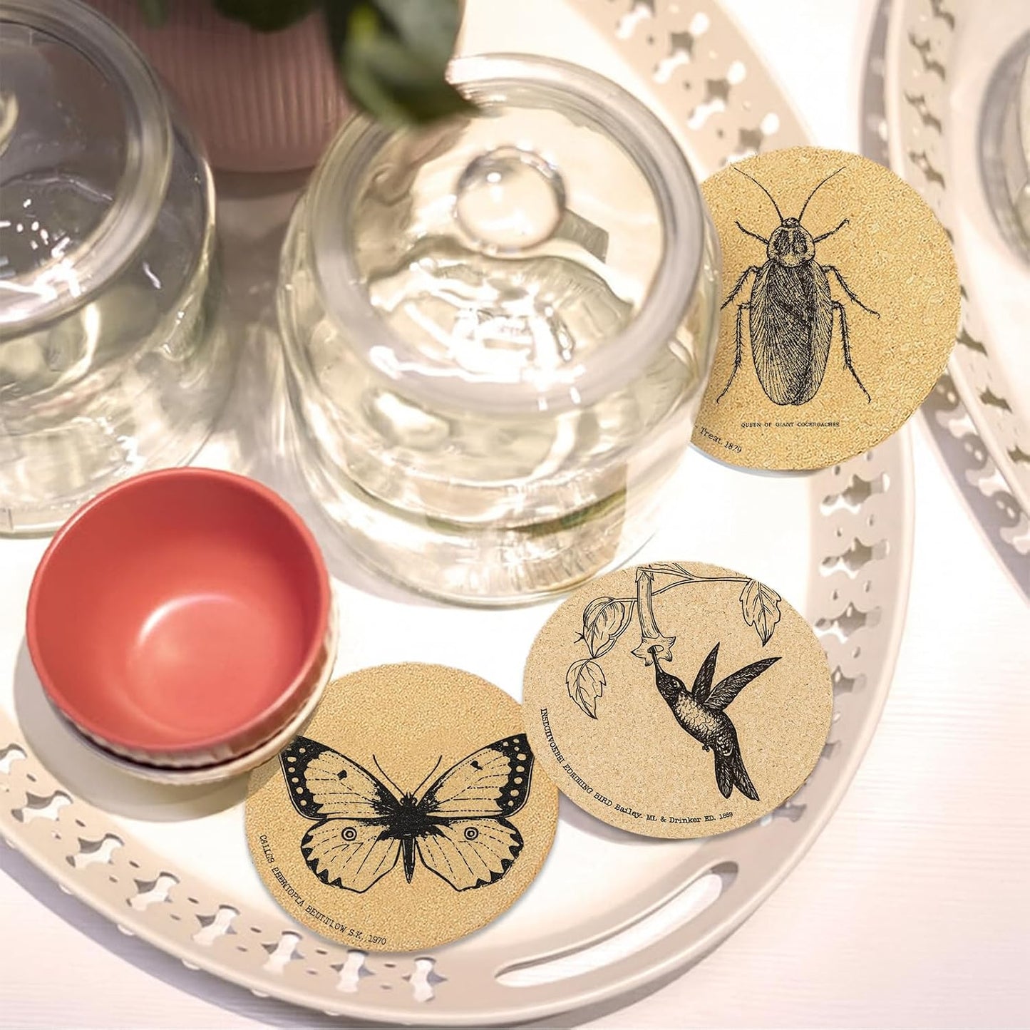 Holder / Coasters for Drinks / Insects / Set of 6