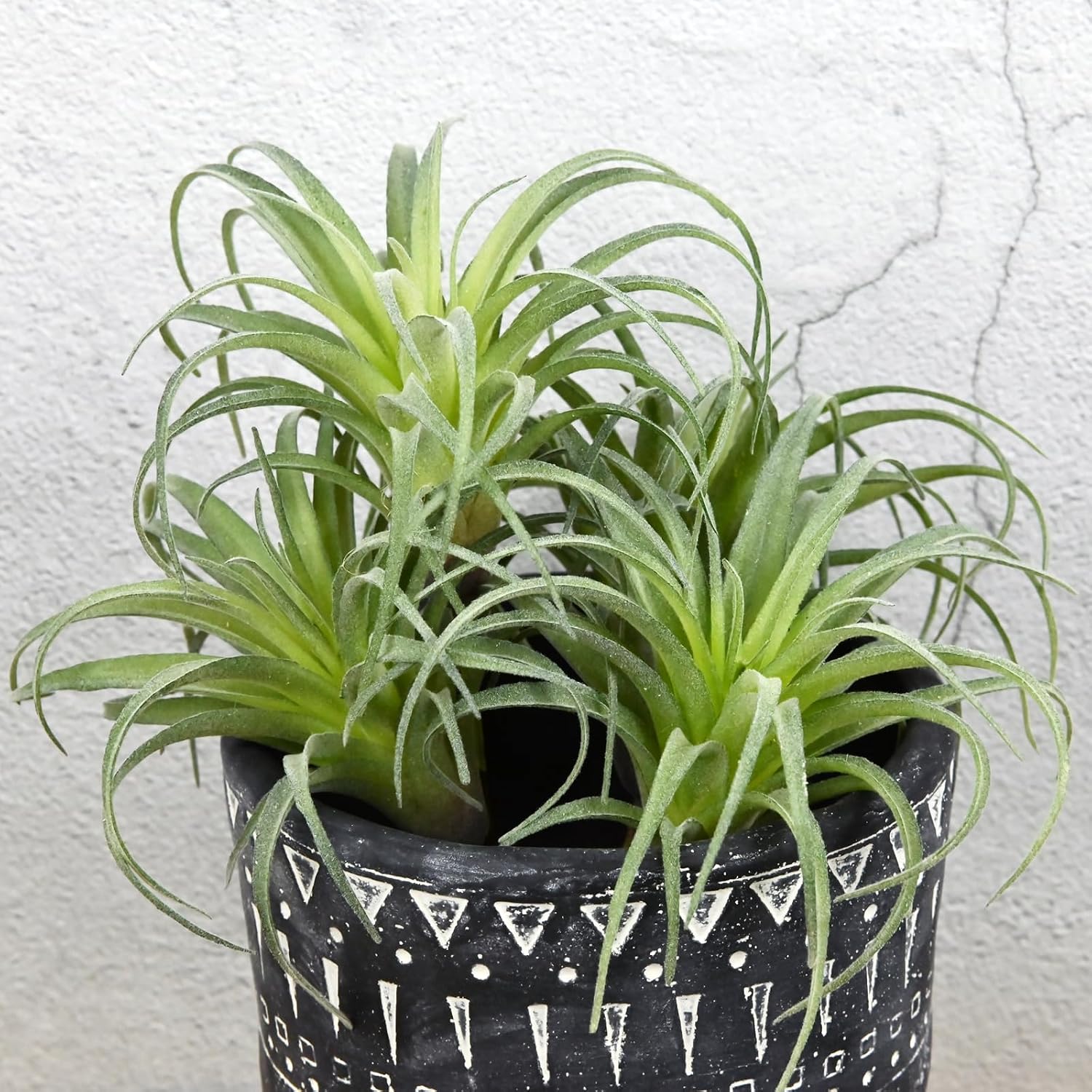 Fake Artificial Tillandsia Air Plants / Green / Set of 4