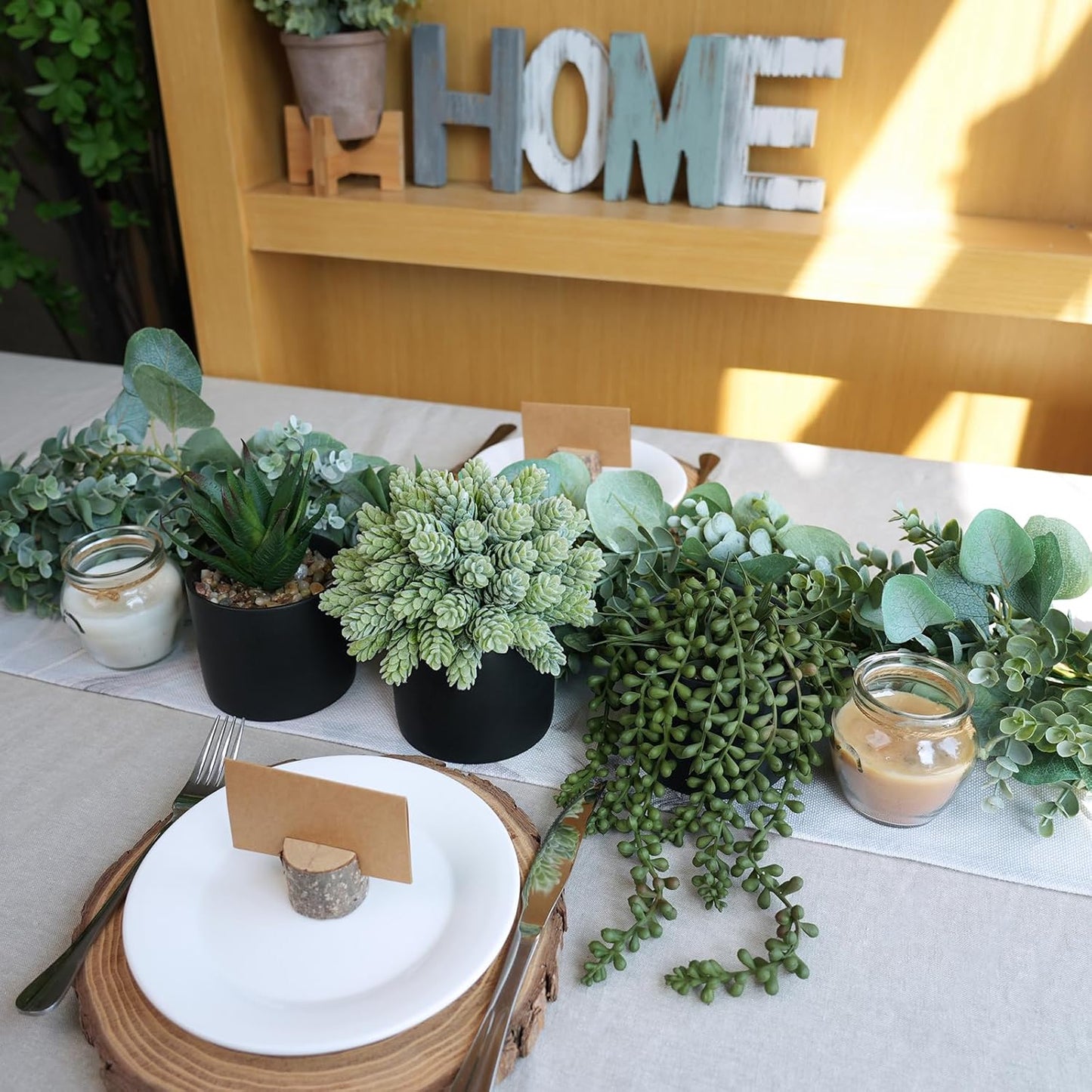 Small Artificial Potted Succulent Plants Faux Aloe Hops String / Black Ceramic Pots / Set of 3