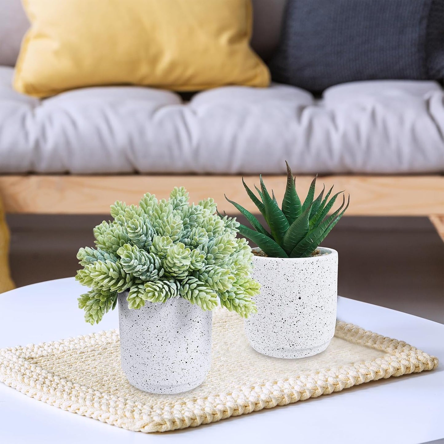 Artificial Potted Succulent Plants in Cement Planters Faux Aloe Hops String / White / Set of 3