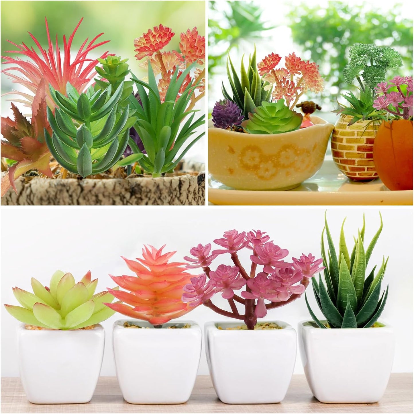 Colorful Succulents Plants Artificial / Set of 22