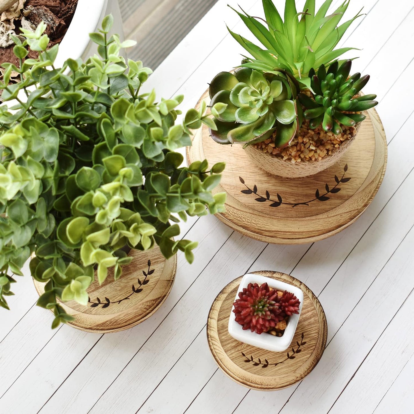 Pedestal Stand / Set Stackable Round Wooden Display Riser / Oak, , Round Shape / Set of 3