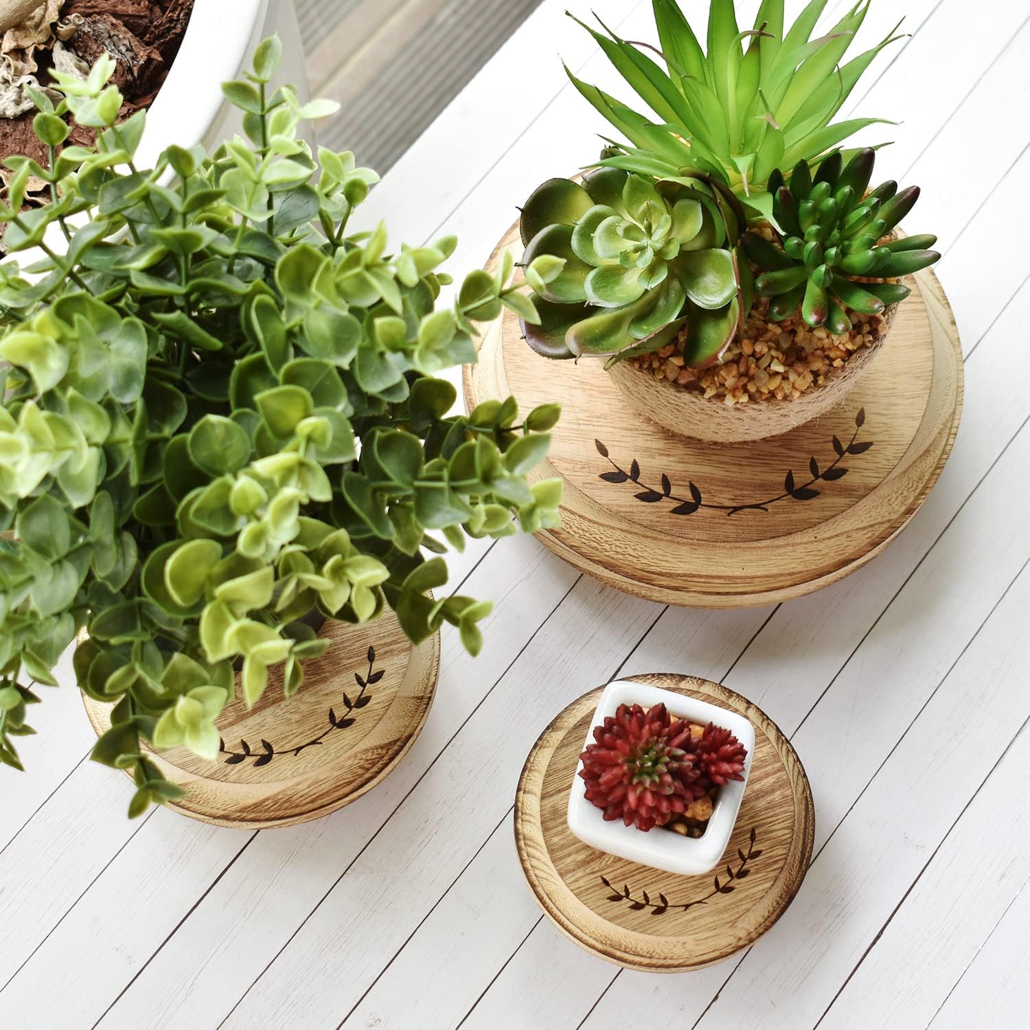 Pedestal Stand / Set Stackable Round Wooden Display Riser / Oak, , Round Shape / Set of 3