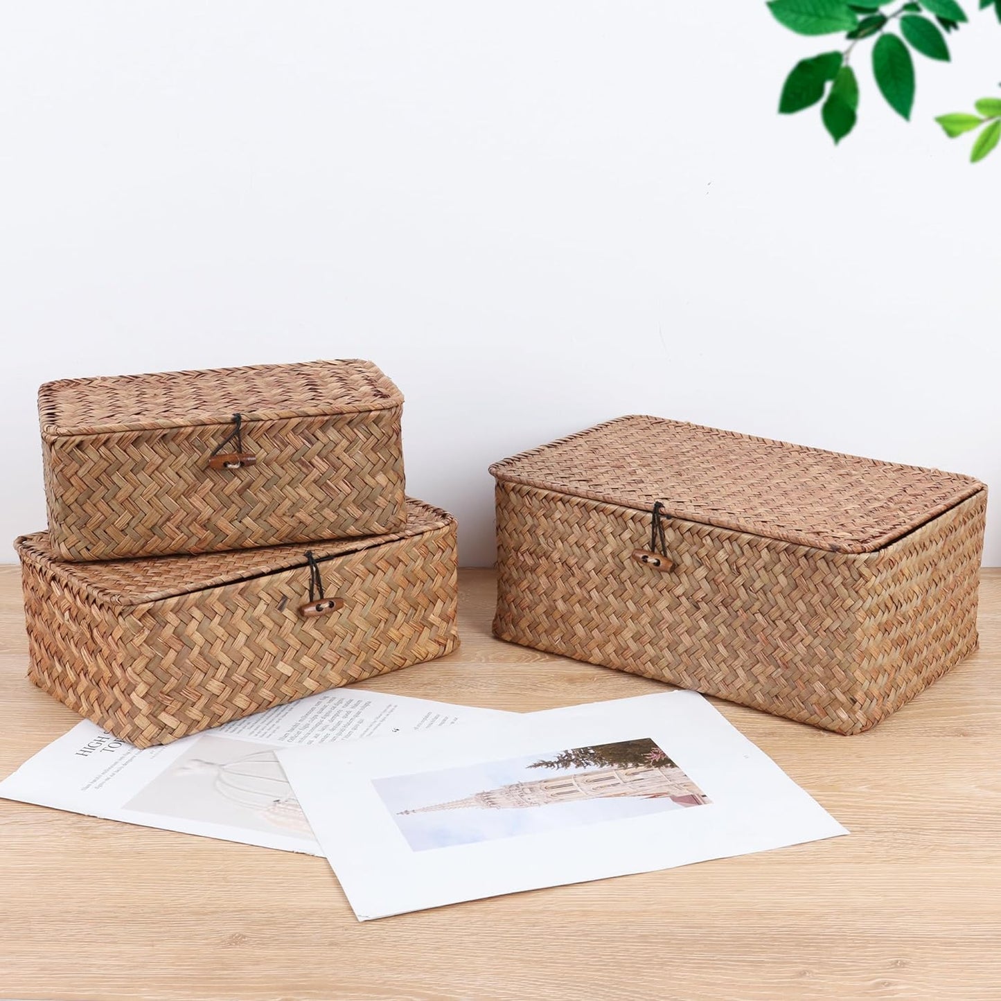 FEIALNDUO Wicker Shelf Baskets / Small / Coffee
