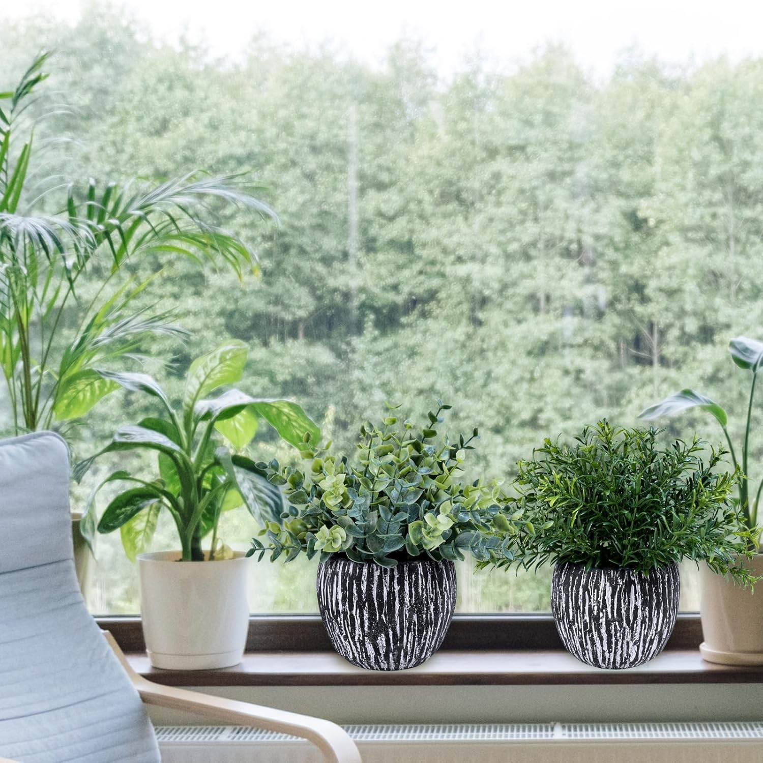 Artificial Potted Plants Faux Eucalyptus Rosemary Boxwood Greenery in & White / Black / Set of 3