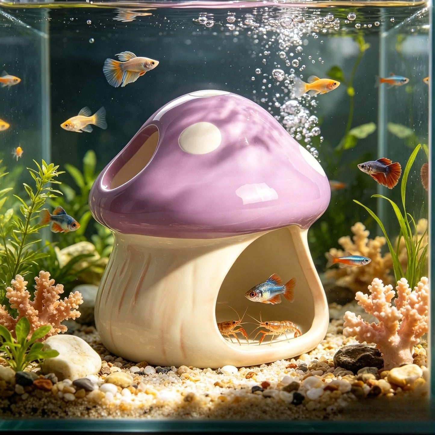 Axolotl & Betta Hiding Cave / Purple
