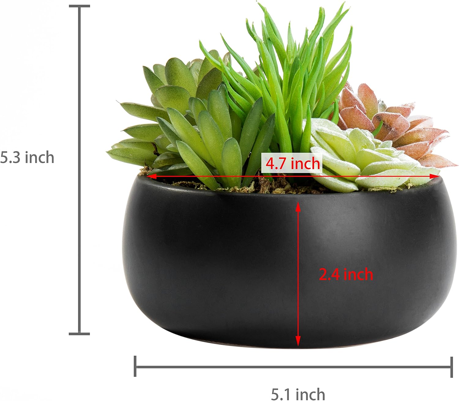 Fake Plant Arrangement in Ceramic Planter Bowl / Black