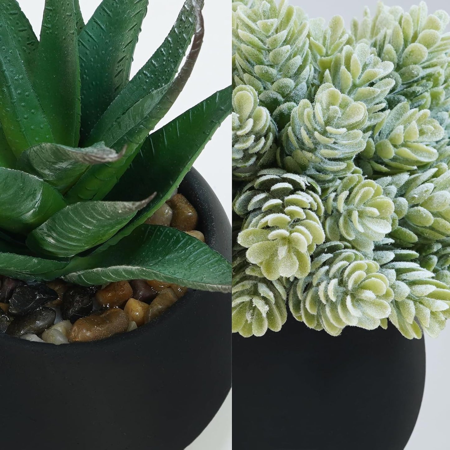 Artificial Succulent Plants in Black Concrete Pots Faux Aloe Hops String / Black Pots / Set of 3
