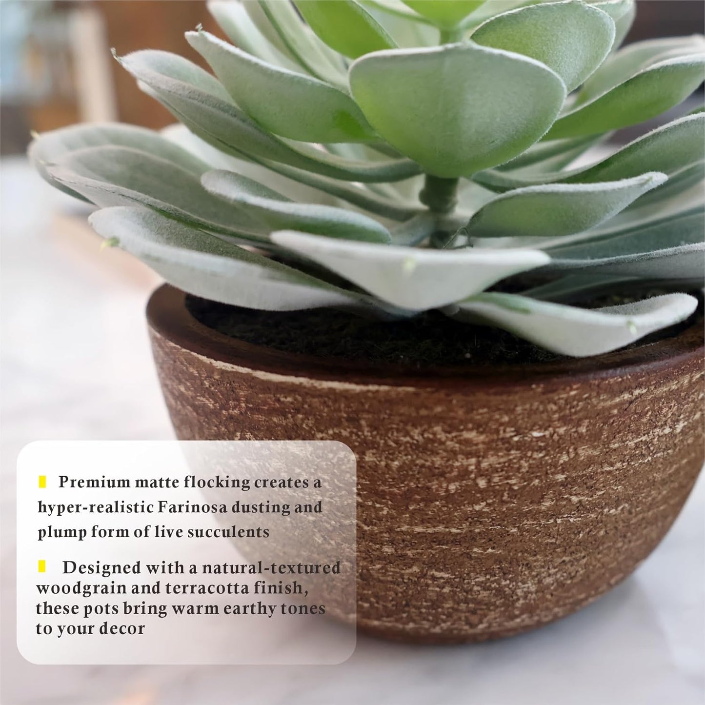 Artificial Succulents Plastic Artificial Plant / Succlents In Pots / Green / Set of 2