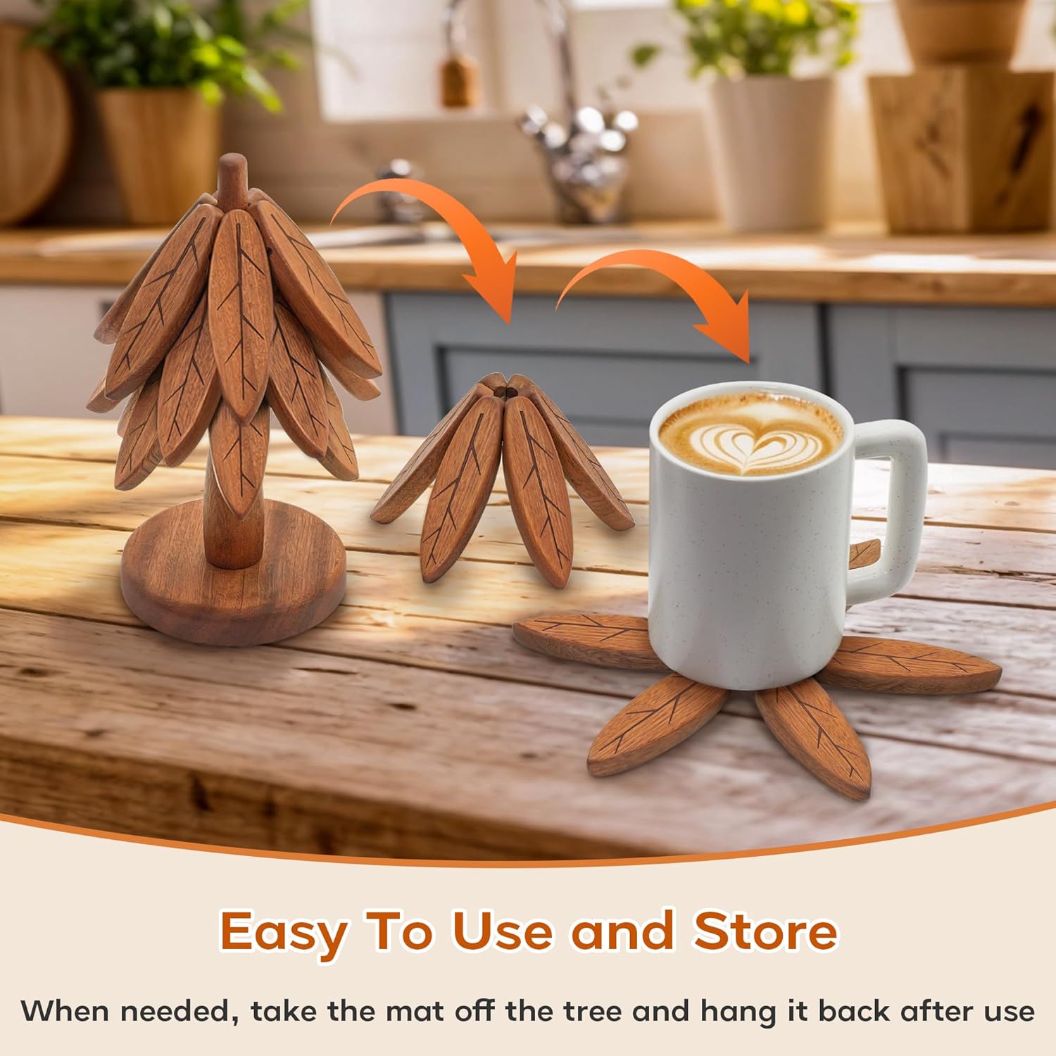 of 5 + 1 Stand stored / Walnut / Set of 5