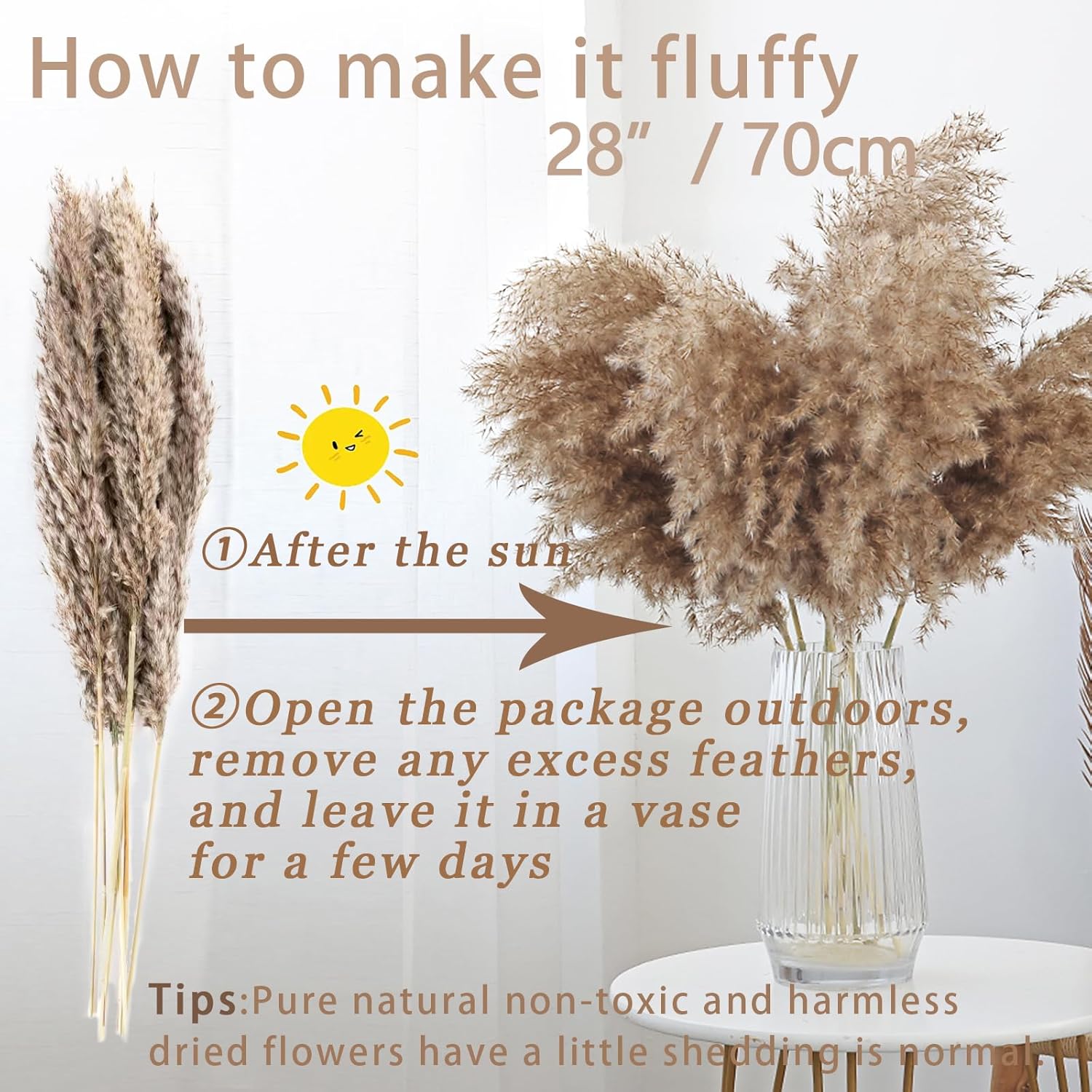 Fluffy & White Pampas Grass Decor Tall Pompas Grass / 10brown & 10white / Brown / Set of 20