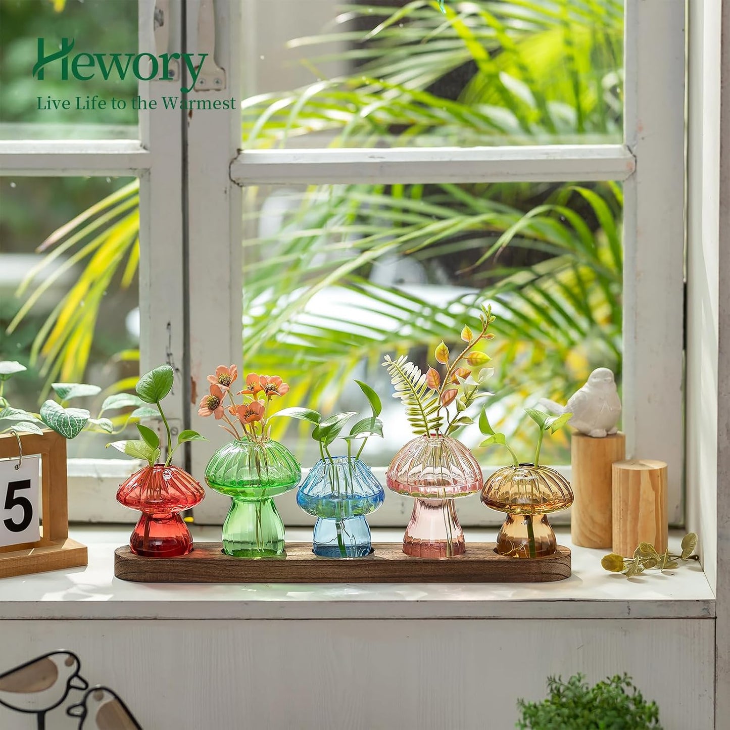 Wooden Stand / Glass Propagation Station for Plant / Colored / Set of 5