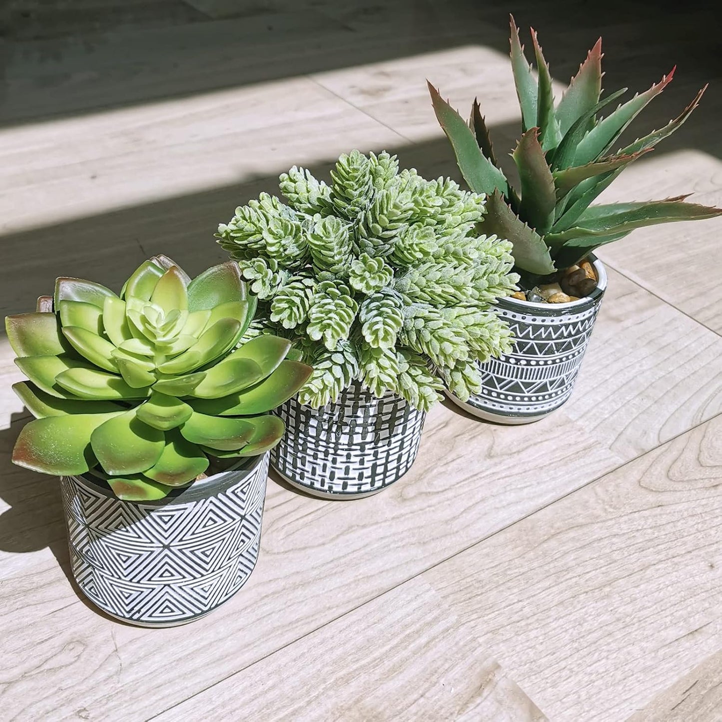 Assorted Small Potted Succulents Arrangement Artificial Succulent Plants / Black / Set of 3