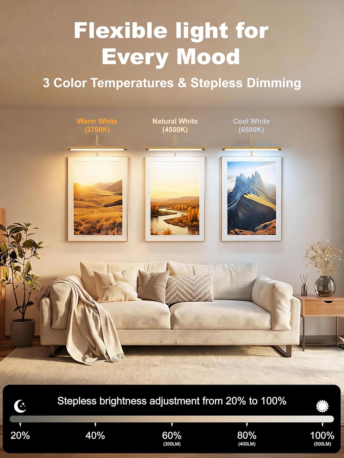 ZitoStory Plug in Picture Light for Wall, Modern Dimmable Picture Frame Lights with Remote LED Wall Art Lights for