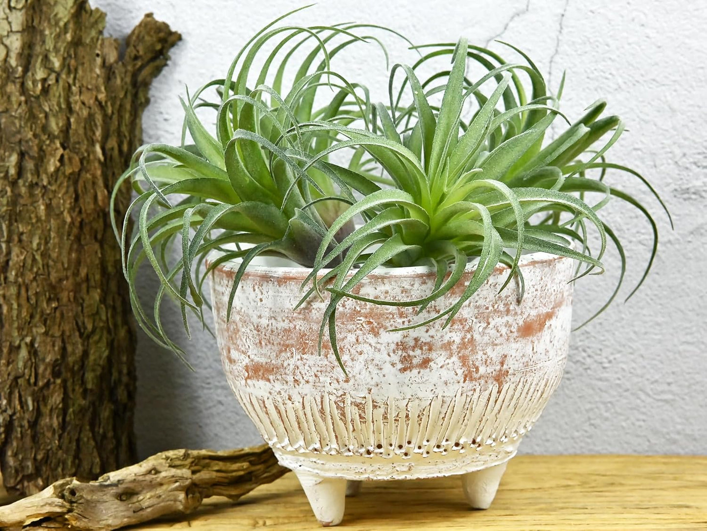 Fake Artificial Tillandsia Air Plants / Green / Set of 4