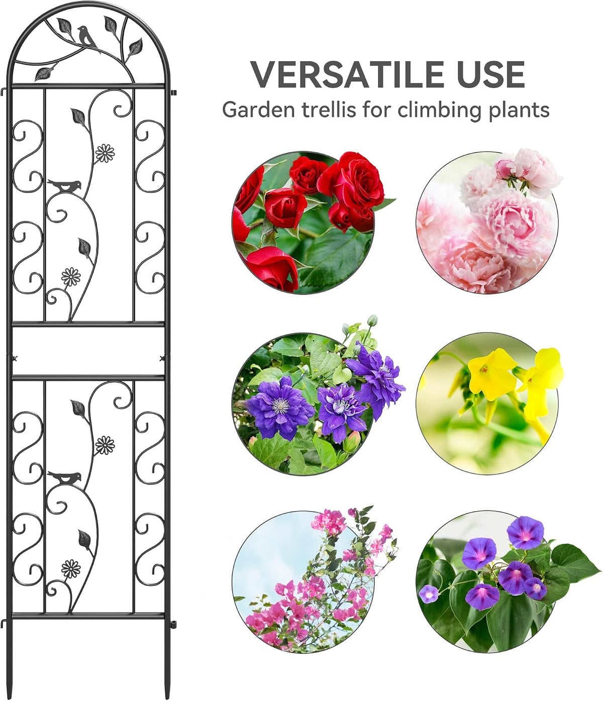 2-Pack 87" x 20" Daisy & Bird Arch Black Metal Garden Trellises | Set of 2 rust-resistant metal trellises with bird