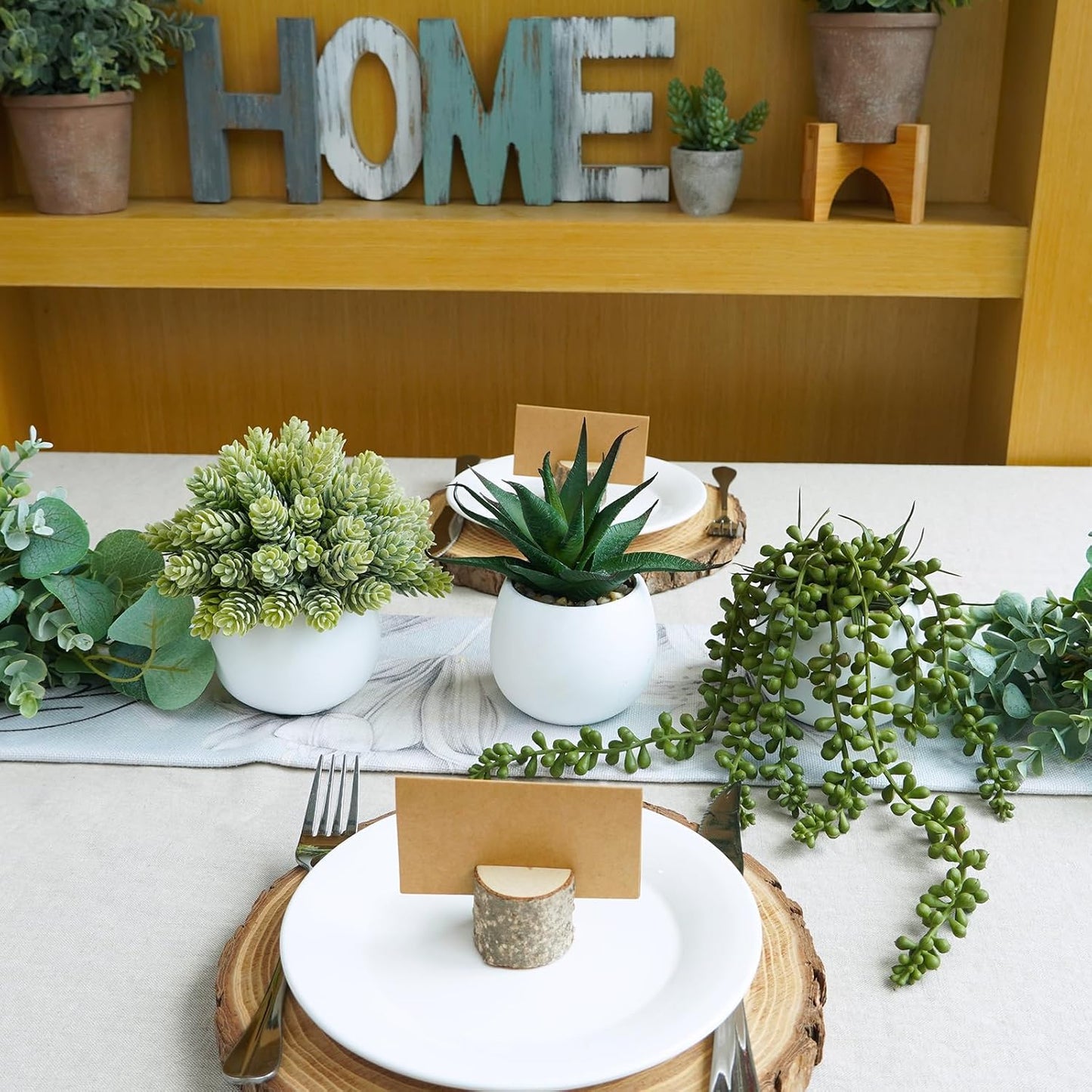 Assorted Artificial Succulent Plants in White Concrete Pots Faux Aloe Hops / White Pots / Set of 3