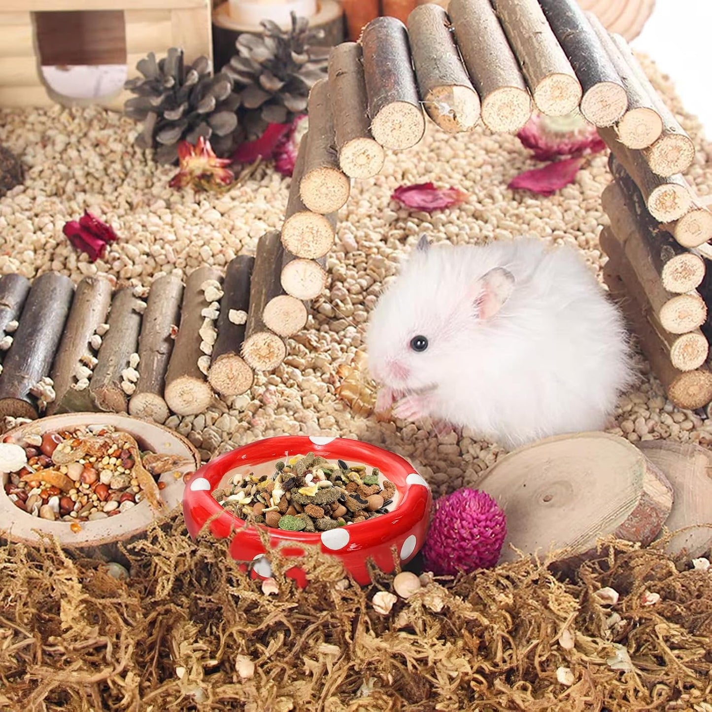 Stand / Ceramic Hamster Hideout / Set of 3
