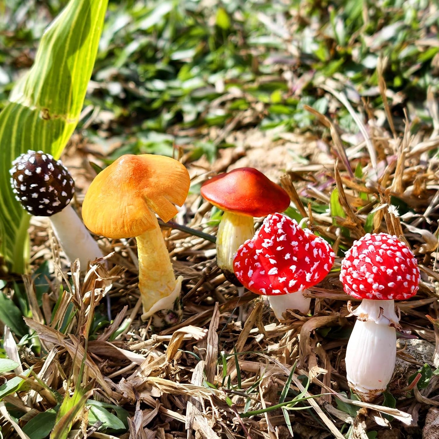 DIY Mini Mushrooms for Terrariums Potted Plant Holiday / Set of 5