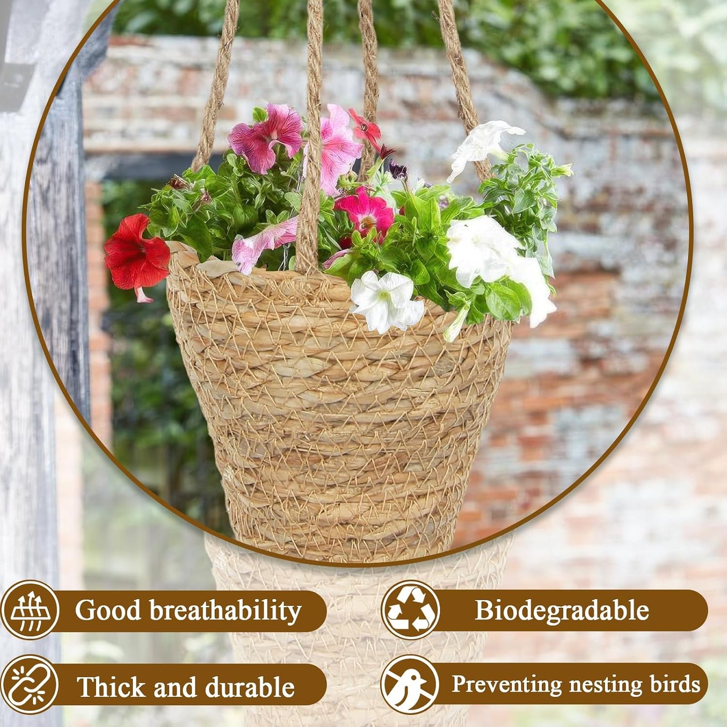 Hanging Basket / Hemp Rope Handmade Wall Planter / Set of 2