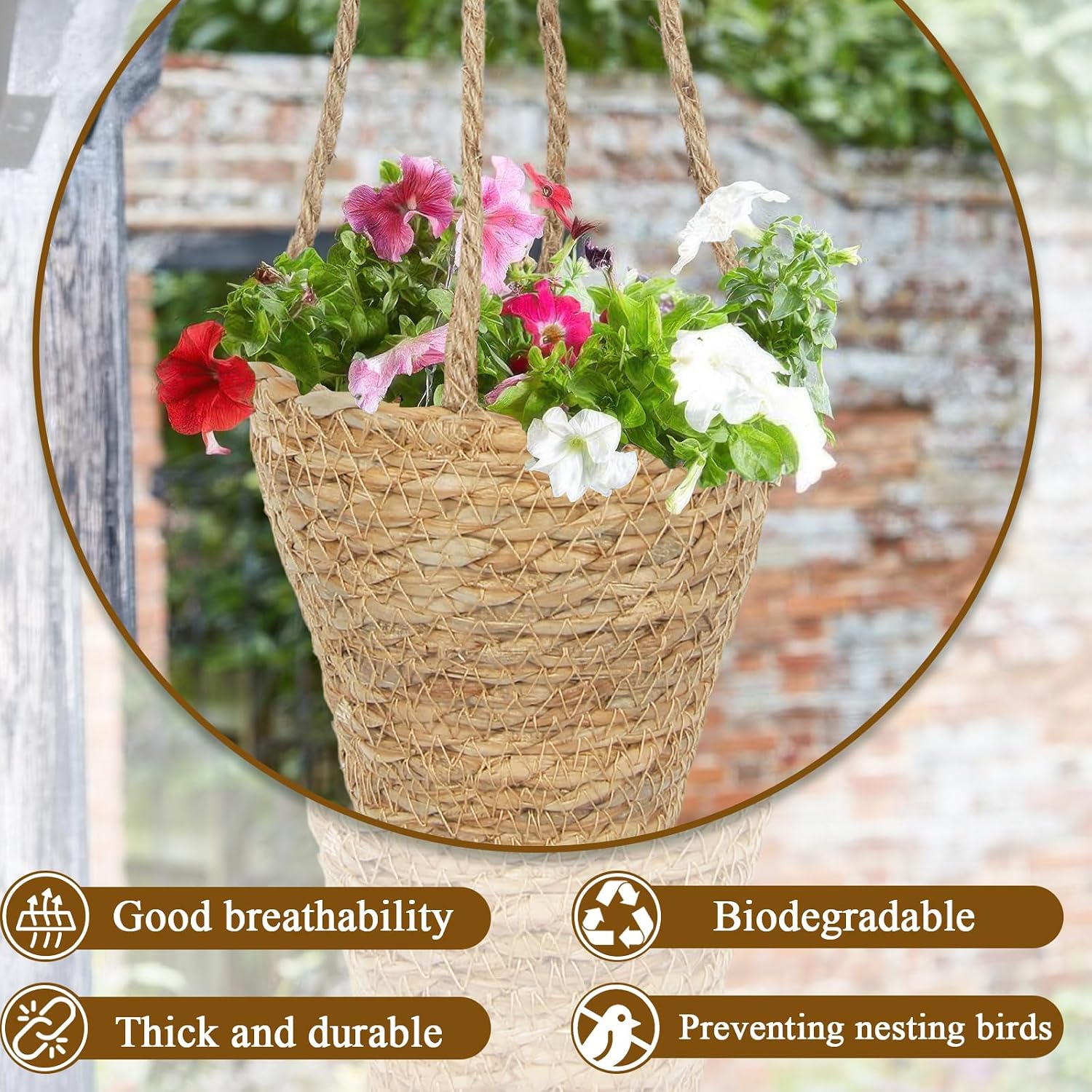 Hanging Basket / Hemp Rope Handmade Wall Planter / Set of 2