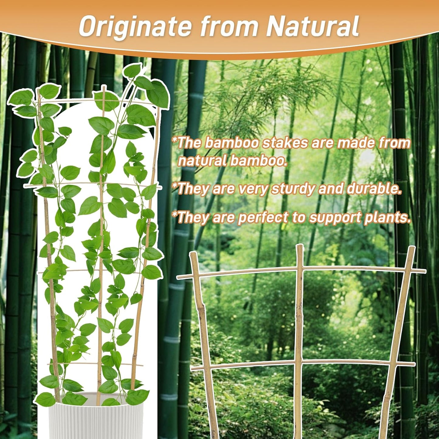 10 Pack 2ft Bamboo Trellis for Climbing Plants, Fan-Shaped Garden Support