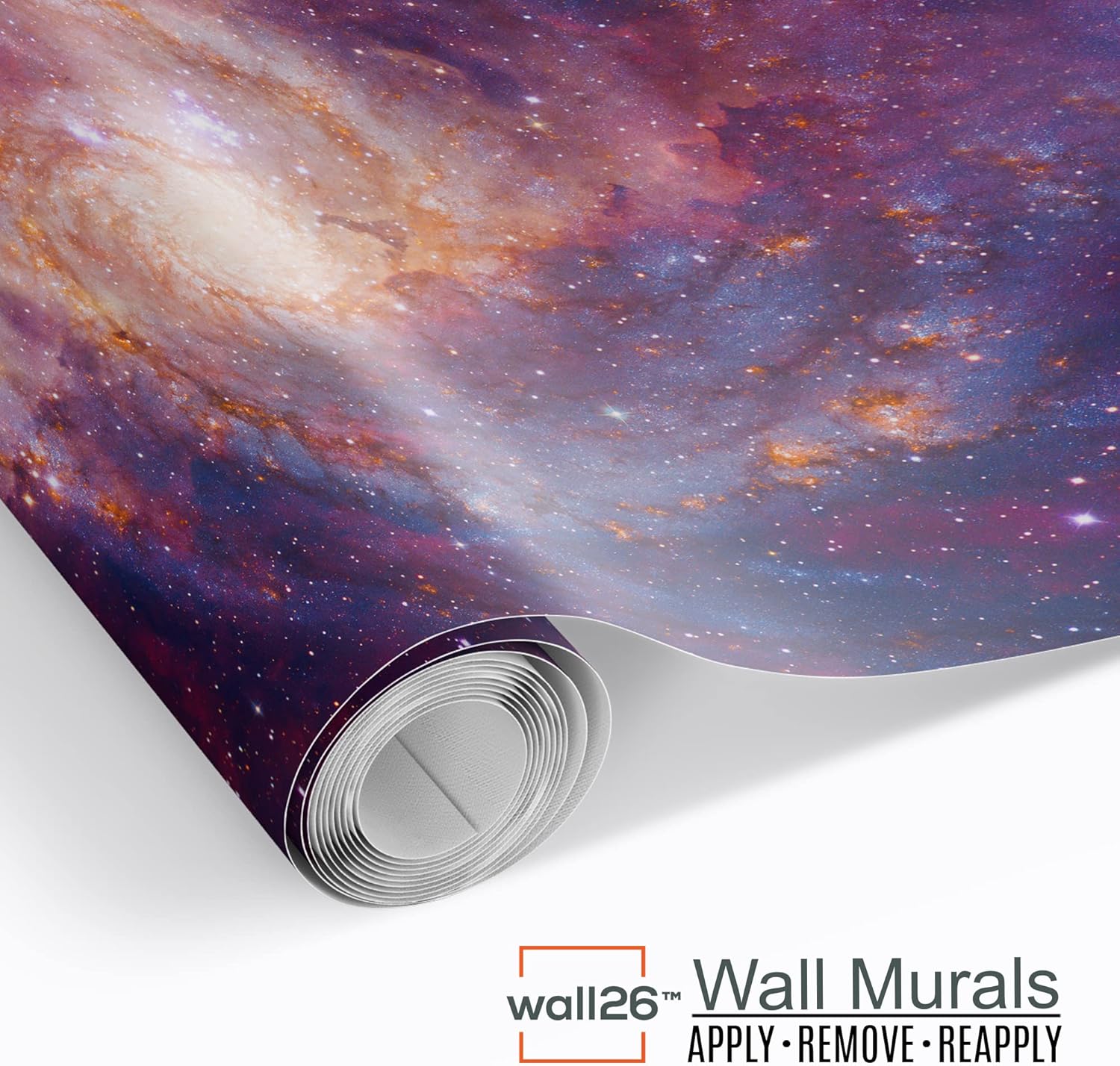 Removable Wall Mural Self-Adhesive Large Wallpaper / 66 x 96 / Artwork - D486